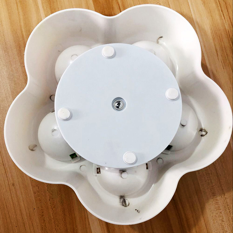 Pet IQ looking for food toys - Image 3