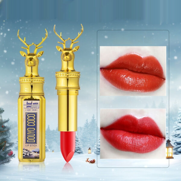 Nourishing Moisturizing Matte Finish Lipstick