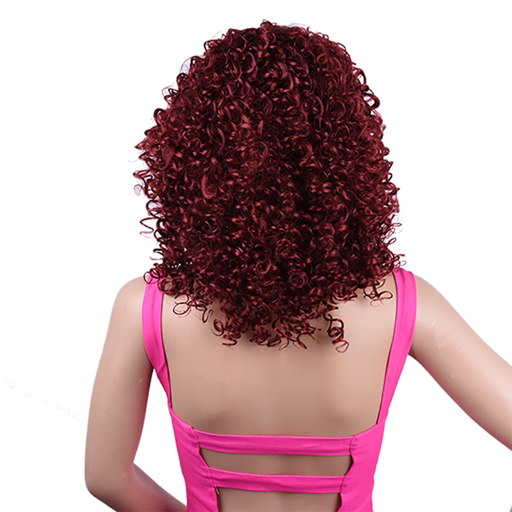 Synthetic Afro Curly Wig African Wigs For Black Women - Image 6